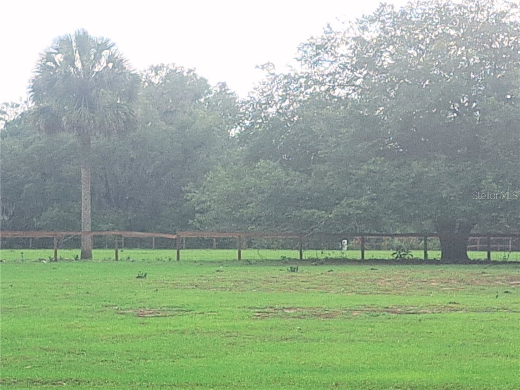 9922 SE 160th Avenue Ocklawaha FL 32179 OM658403 image1