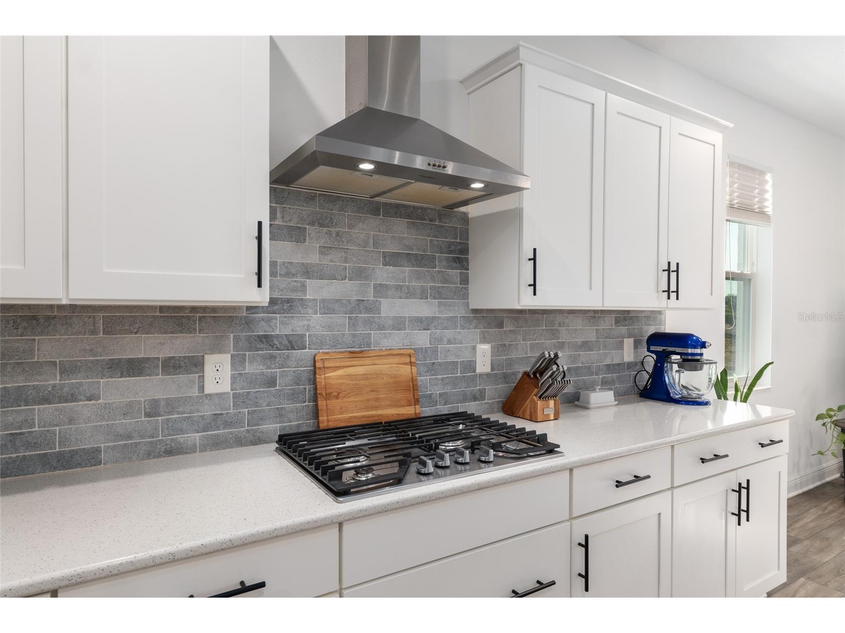 9922 SW 97th Lane Ocala FL 34481 OM720786 image22