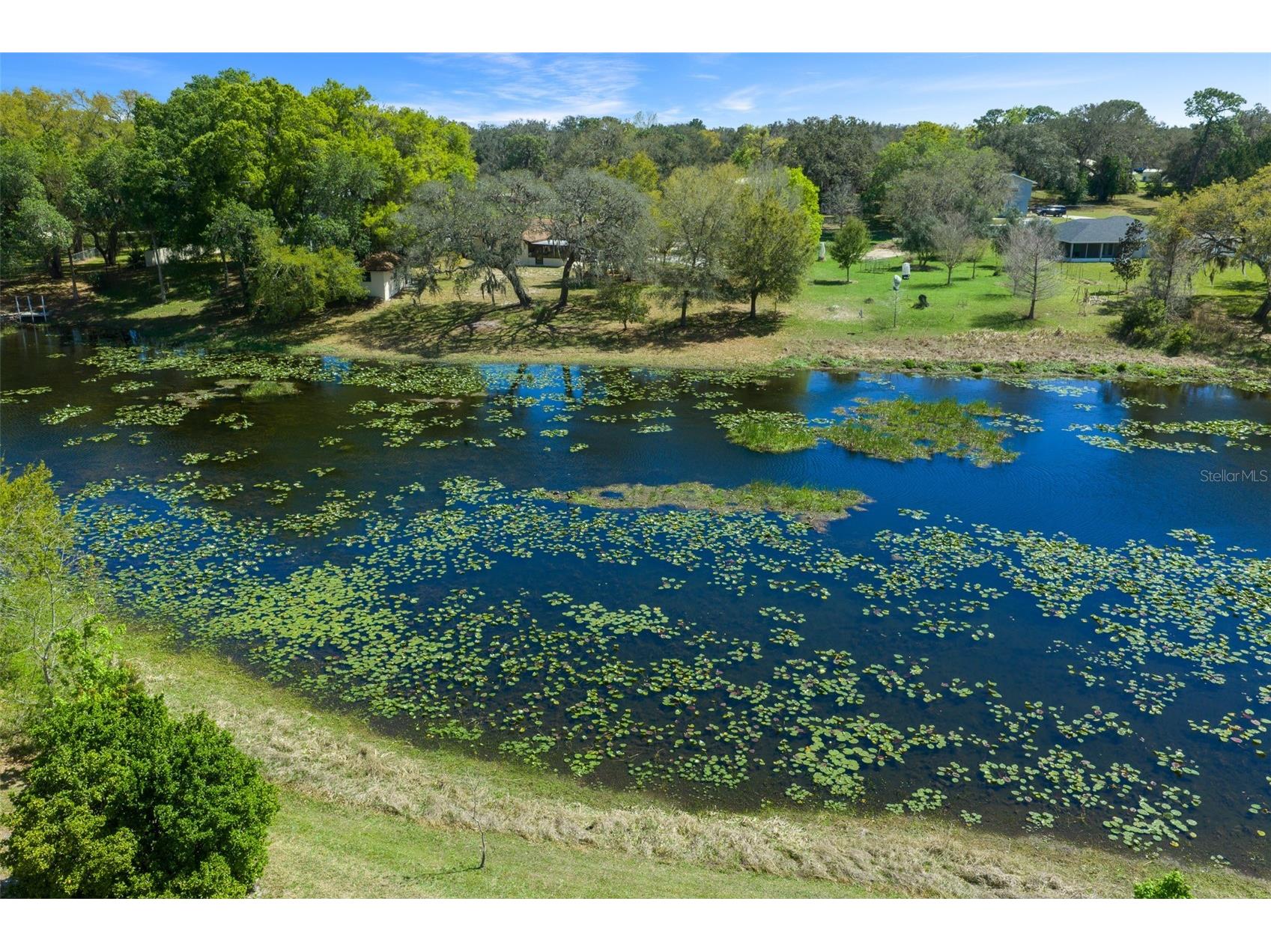 9923 E Saint Regis Court Inverness FL 34450 GC538430 image13