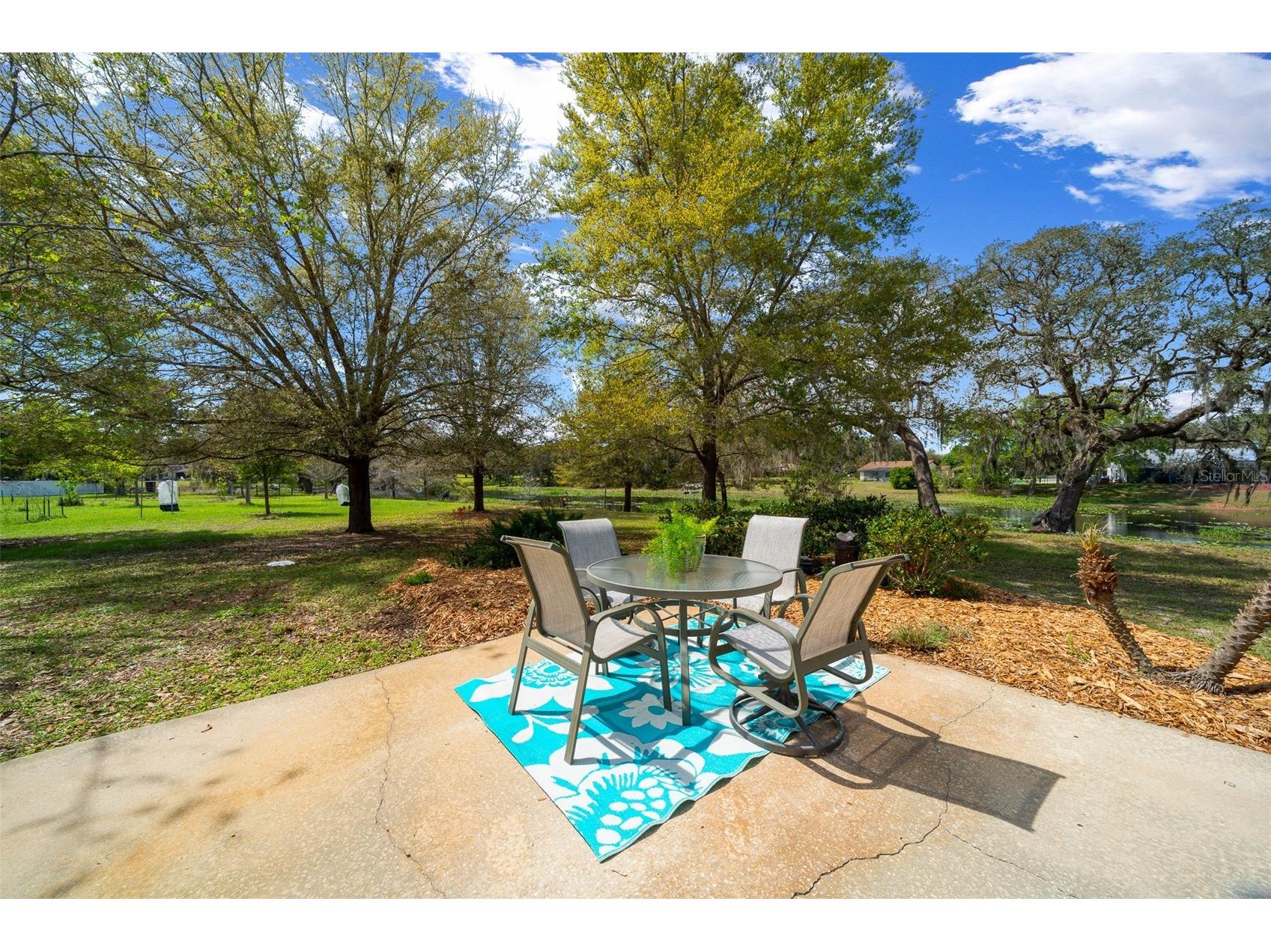 9923 E Saint Regis Court Inverness FL 34450 GC538430 image24