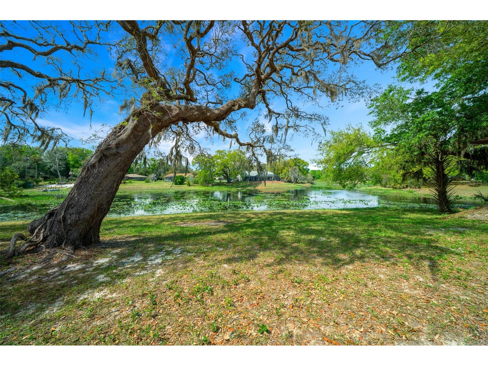 9923 E Saint Regis Court Inverness FL 34450 GC538430 image29