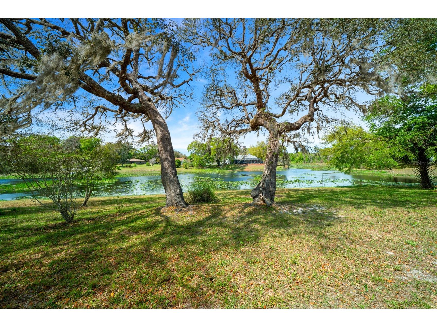 9923 E Saint Regis Court Inverness FL 34450 GC538430 image30