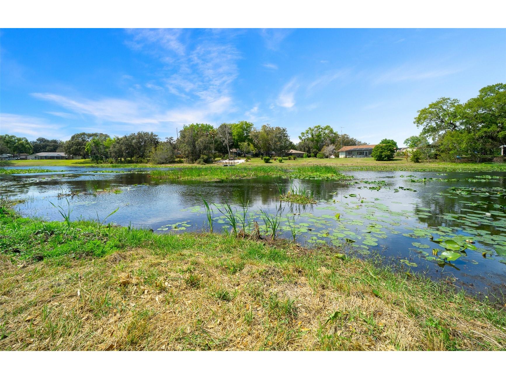 9923 E Saint Regis Court Inverness FL 34450 GC538430 image32