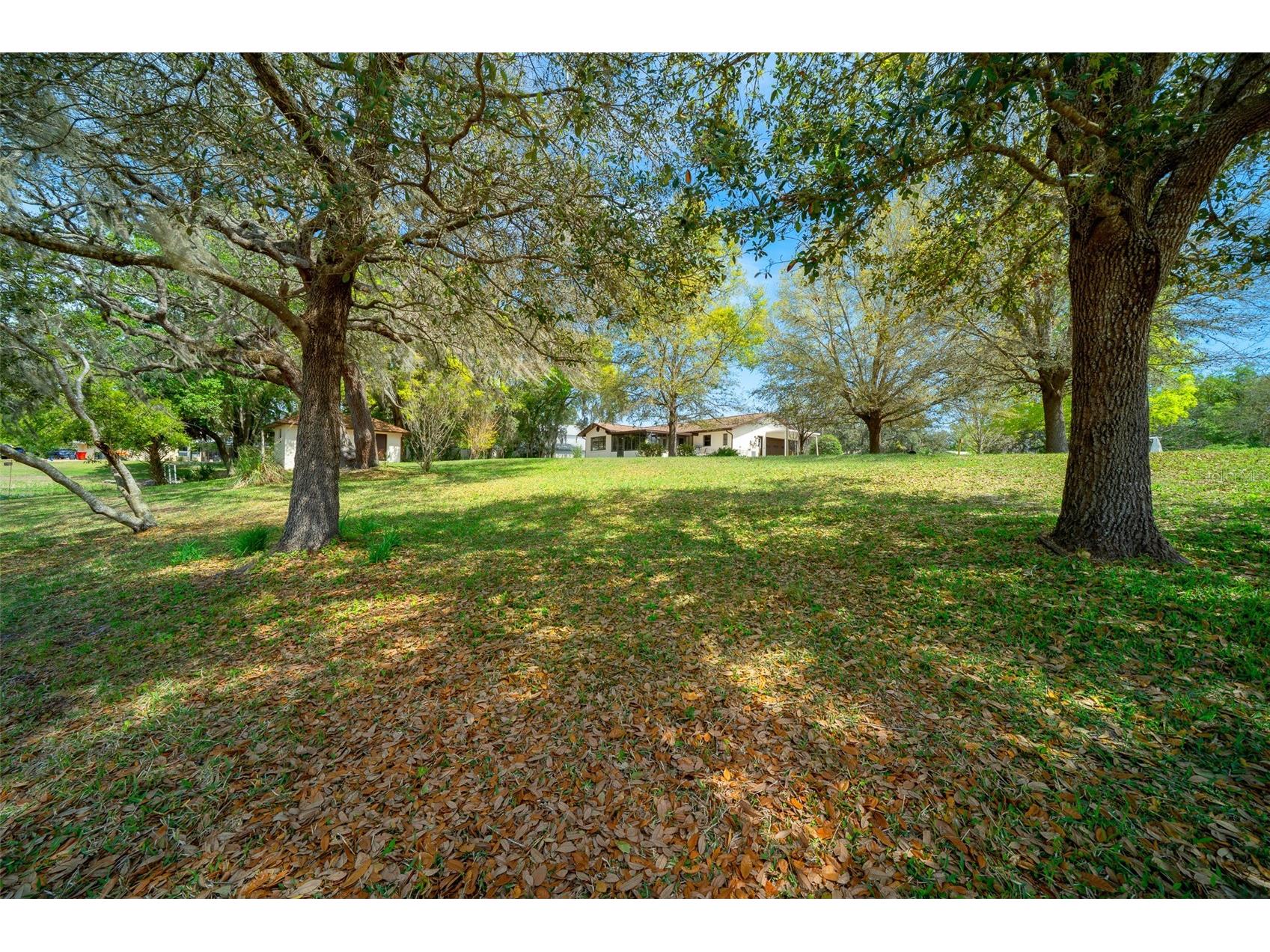 9923 E Saint Regis Court Inverness FL 34450 GC538430 image33