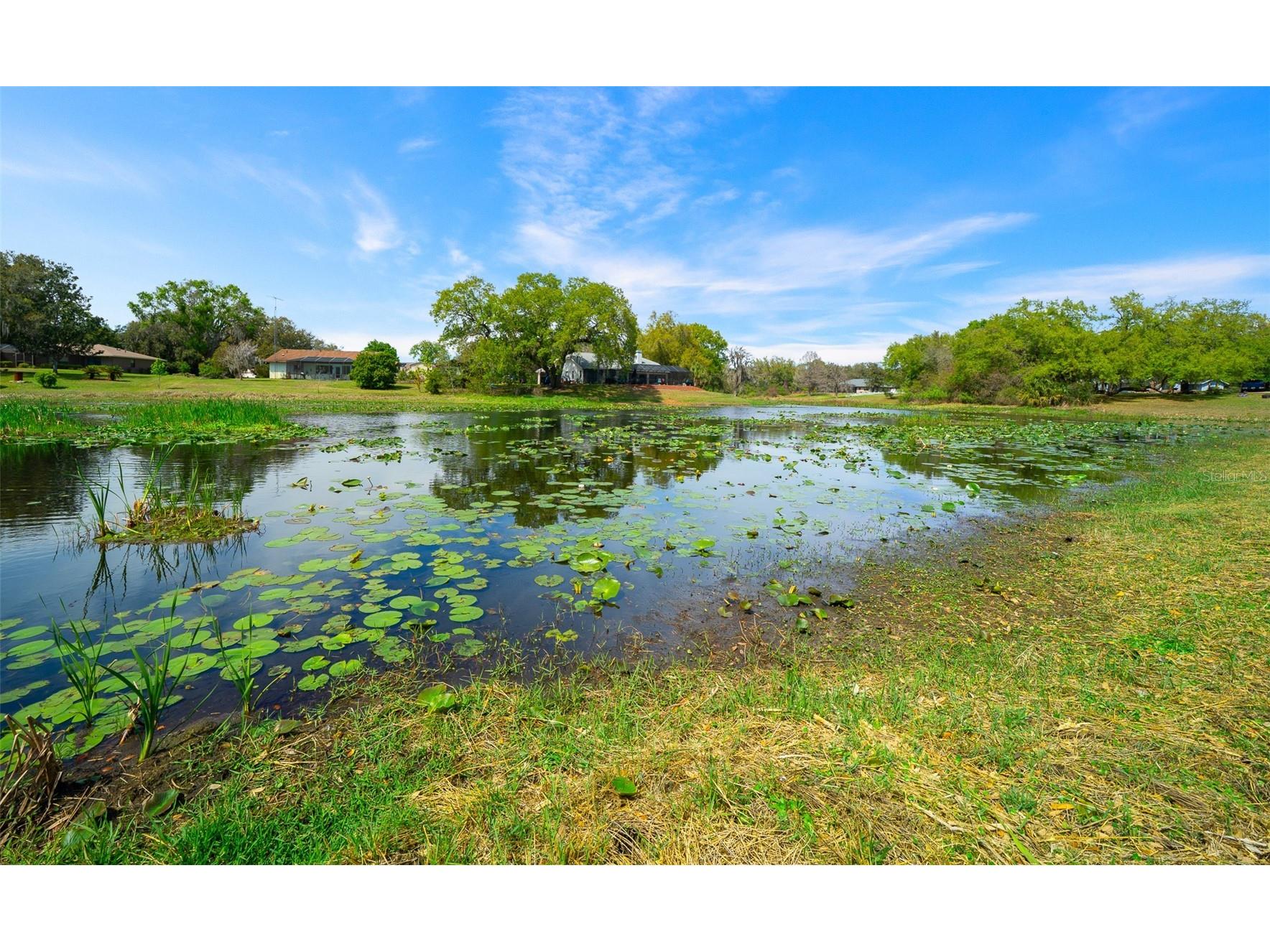 9923 E Saint Regis Court Inverness FL 34450 GC538430 image35