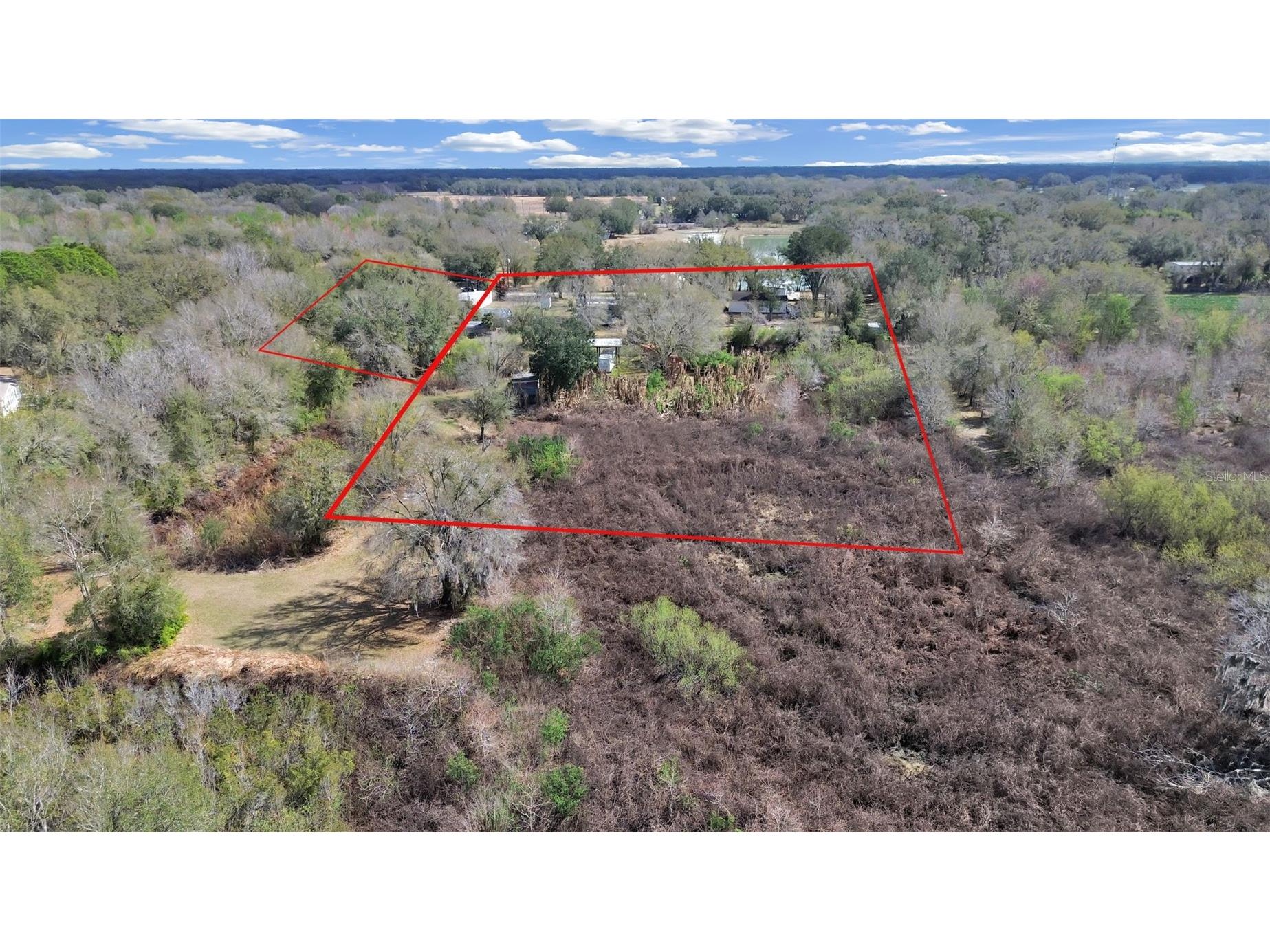9924 Art Acres Road Dover FL 33527 O6383393 image21