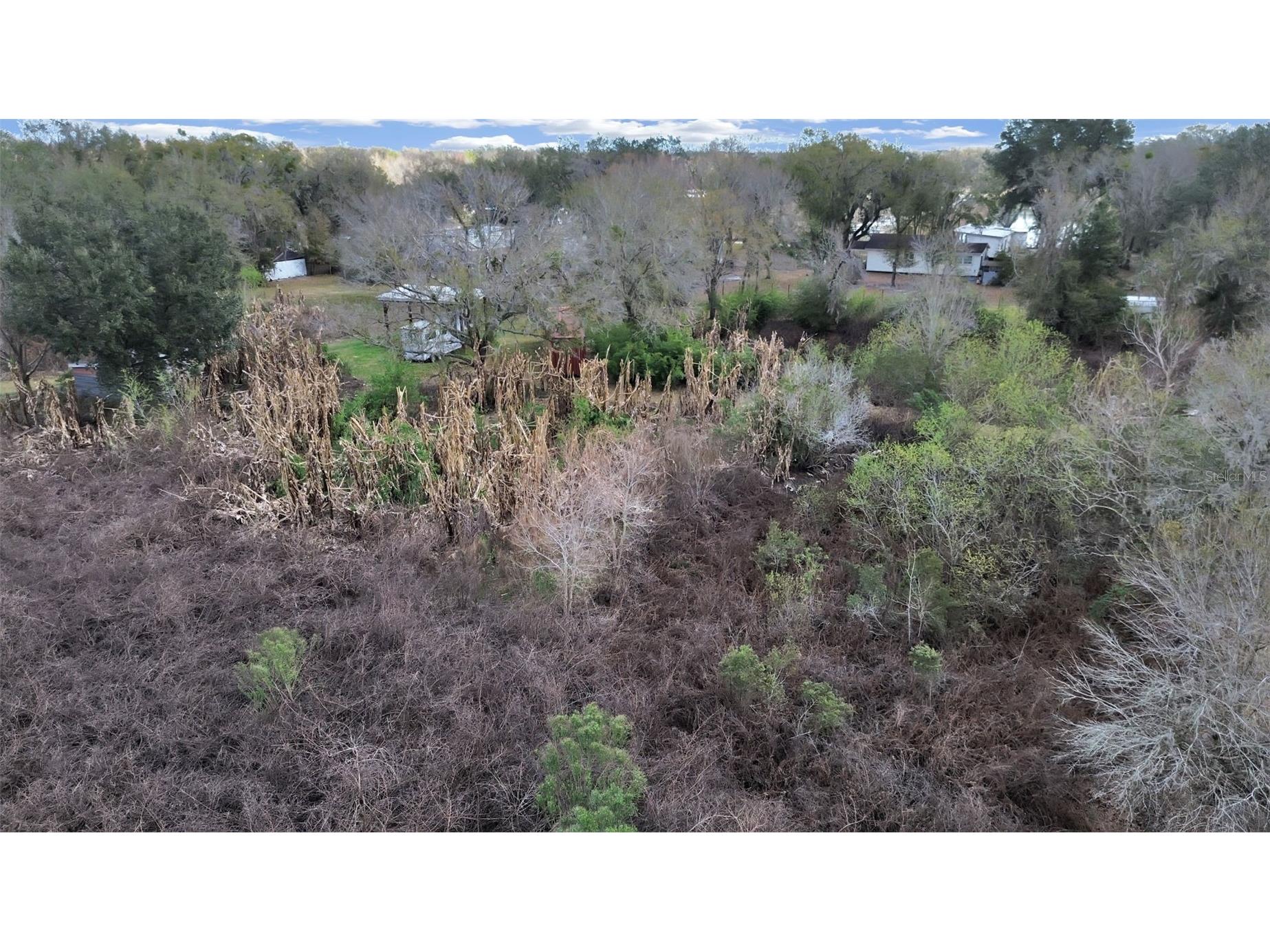 9924 Art Acres Road Dover FL 33527 O6383393 image6