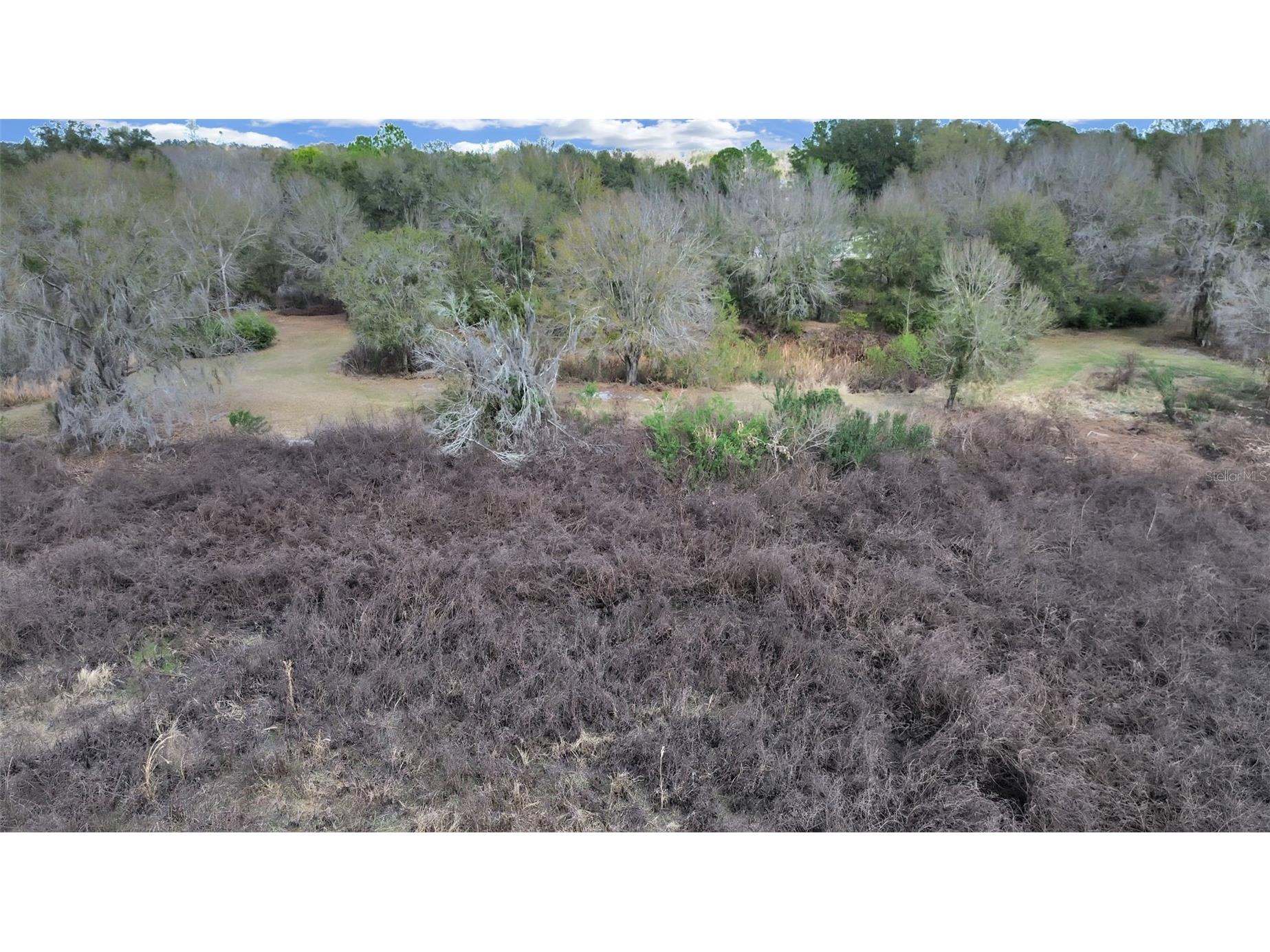 9924 Art Acres Road Dover FL 33527 O6383393 image7