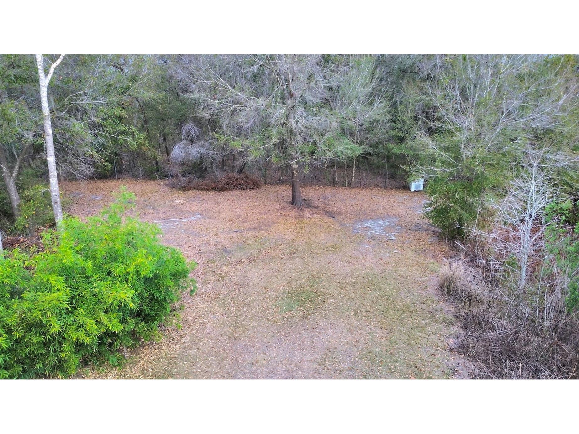 9924 Art Acres Road Dover FL 33527 O6383393 image8
