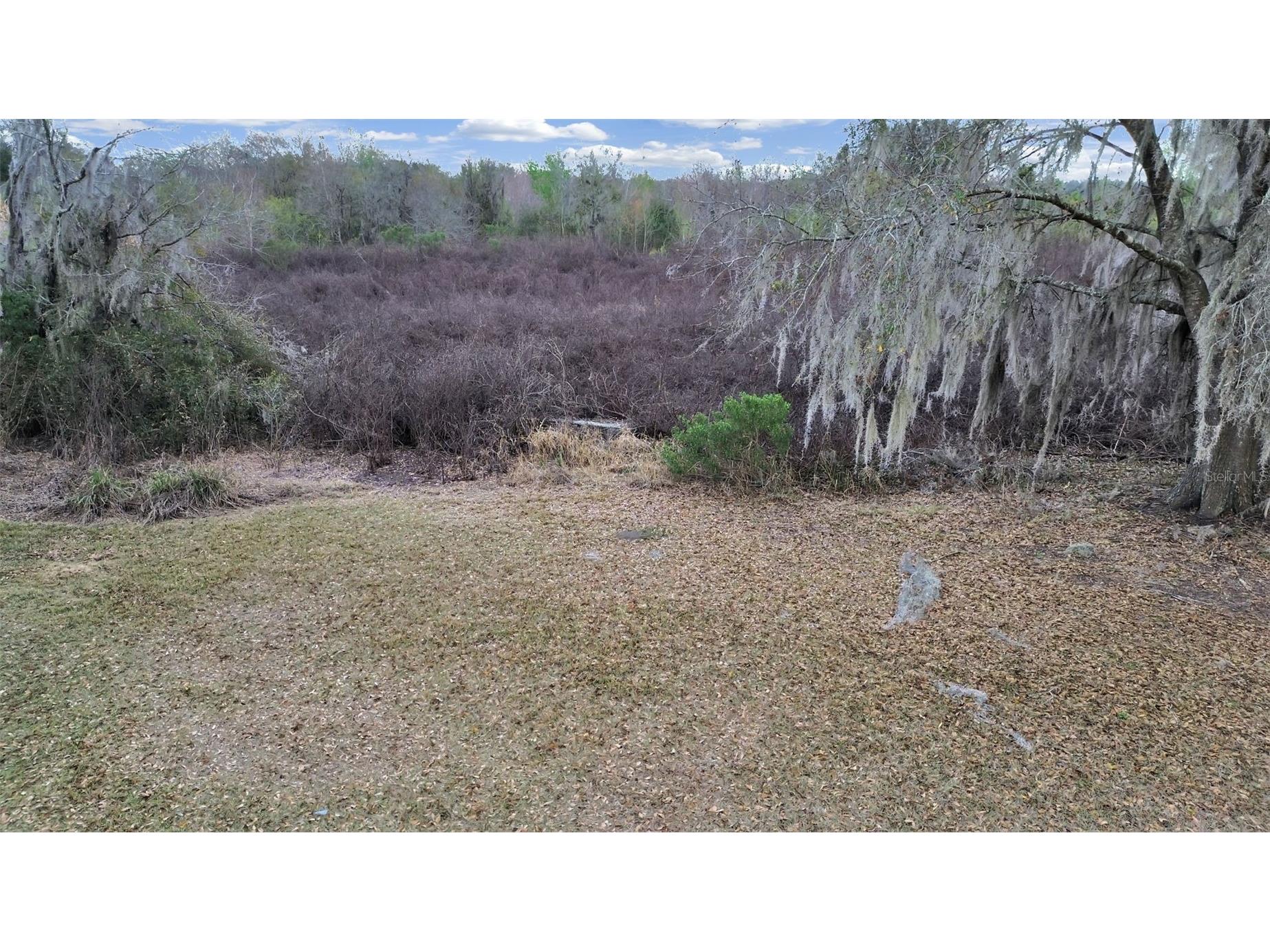 9924 Art Acres Road Dover FL 33527 O6383393 image9
