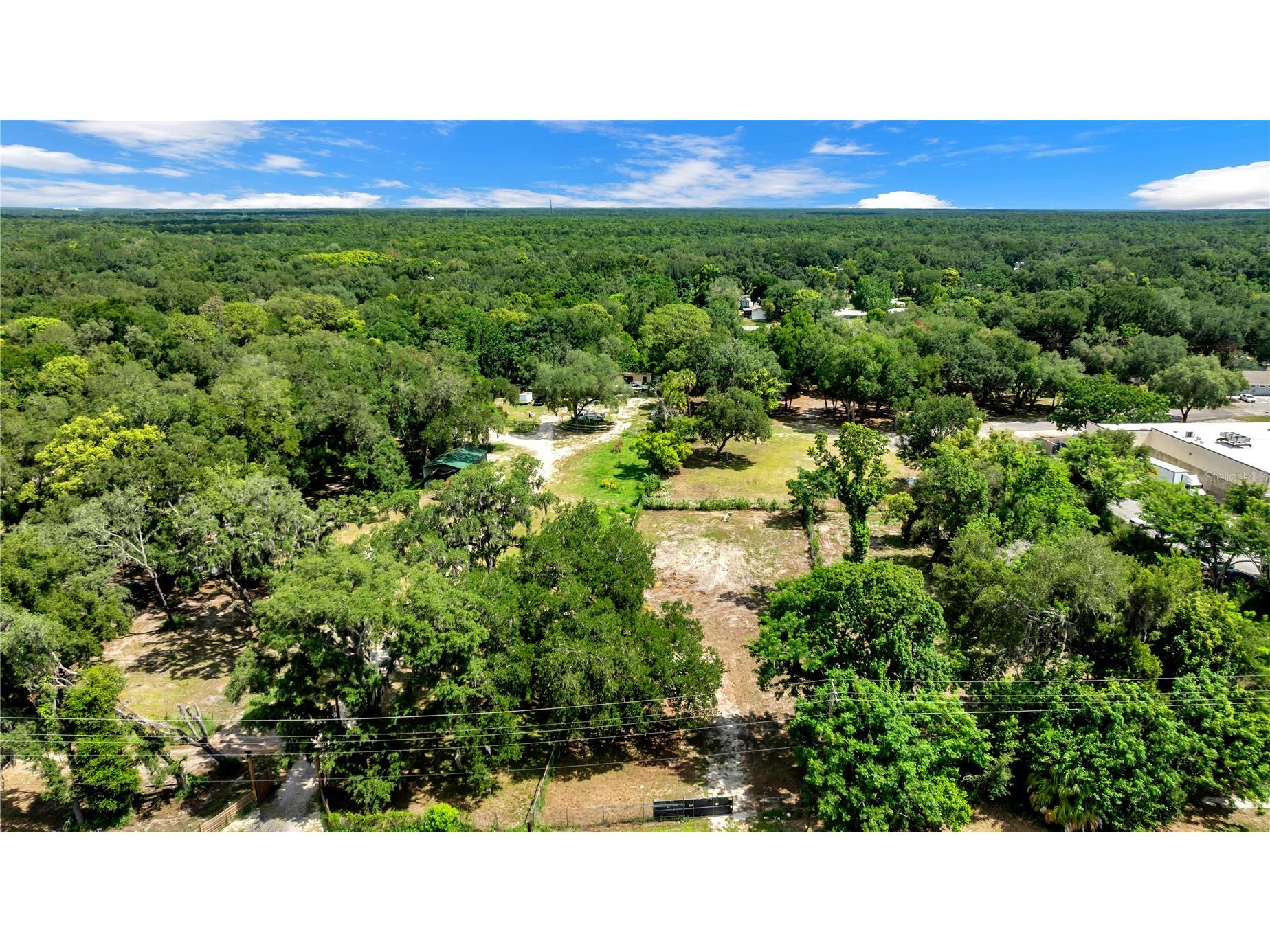 9924 Rockhill Road Thonotosassa FL 33592 TB8521052 image26