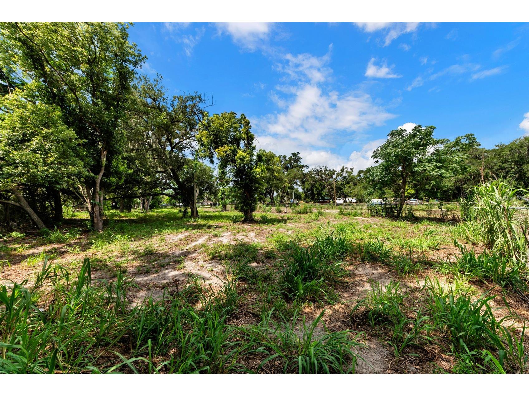 9924 Rockhill Road Thonotosassa FL 33592 TB8521052 image36