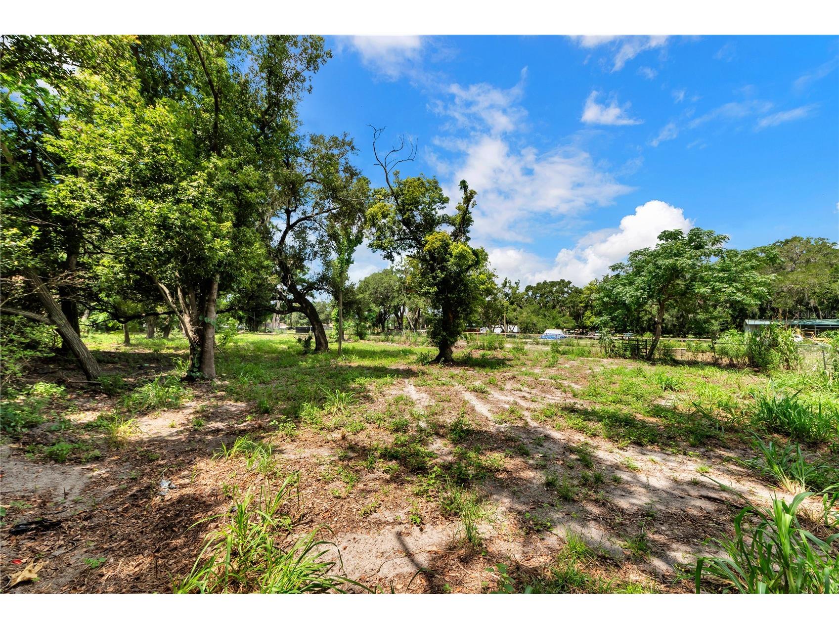 9924 Rockhill Road Thonotosassa FL 33592 TB8521052 image37