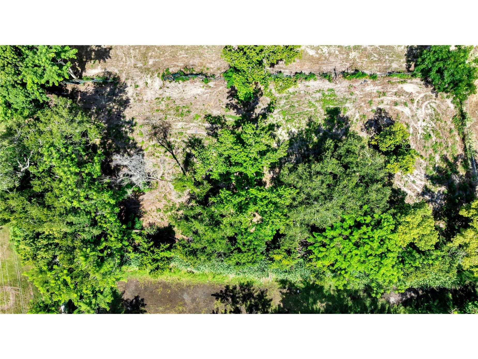 9924 Rockhill Road Thonotosassa FL 33592 TB8521052 image7