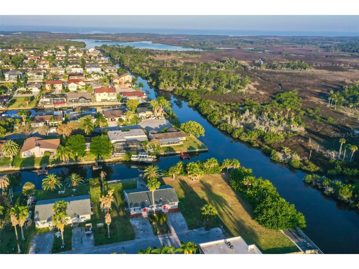 9925 Grace Drive Port Richey FL 34668 TB8454429 image2