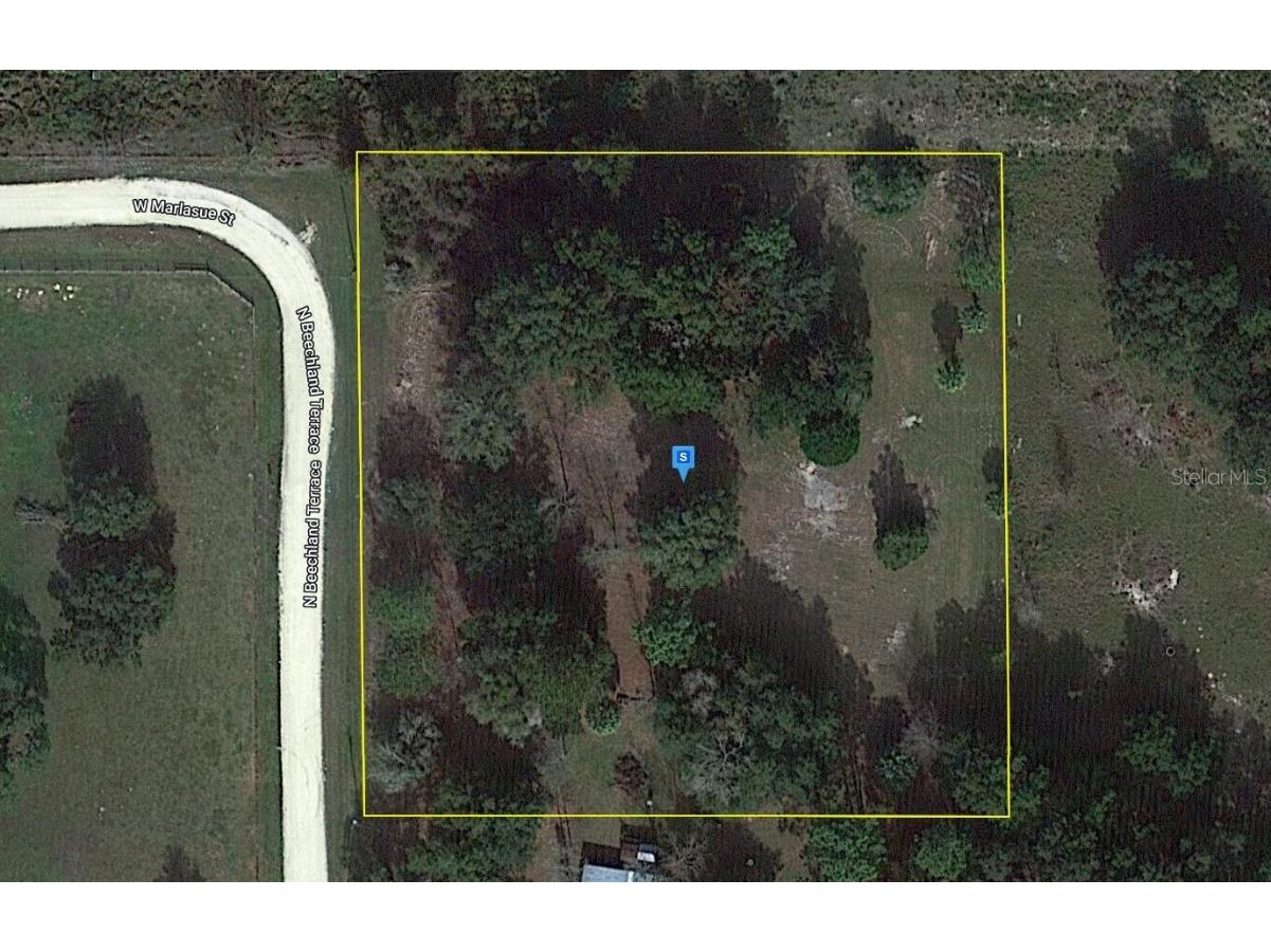 9925 N Beechland Terrace Crystal River FL 34428 A4598483 image1