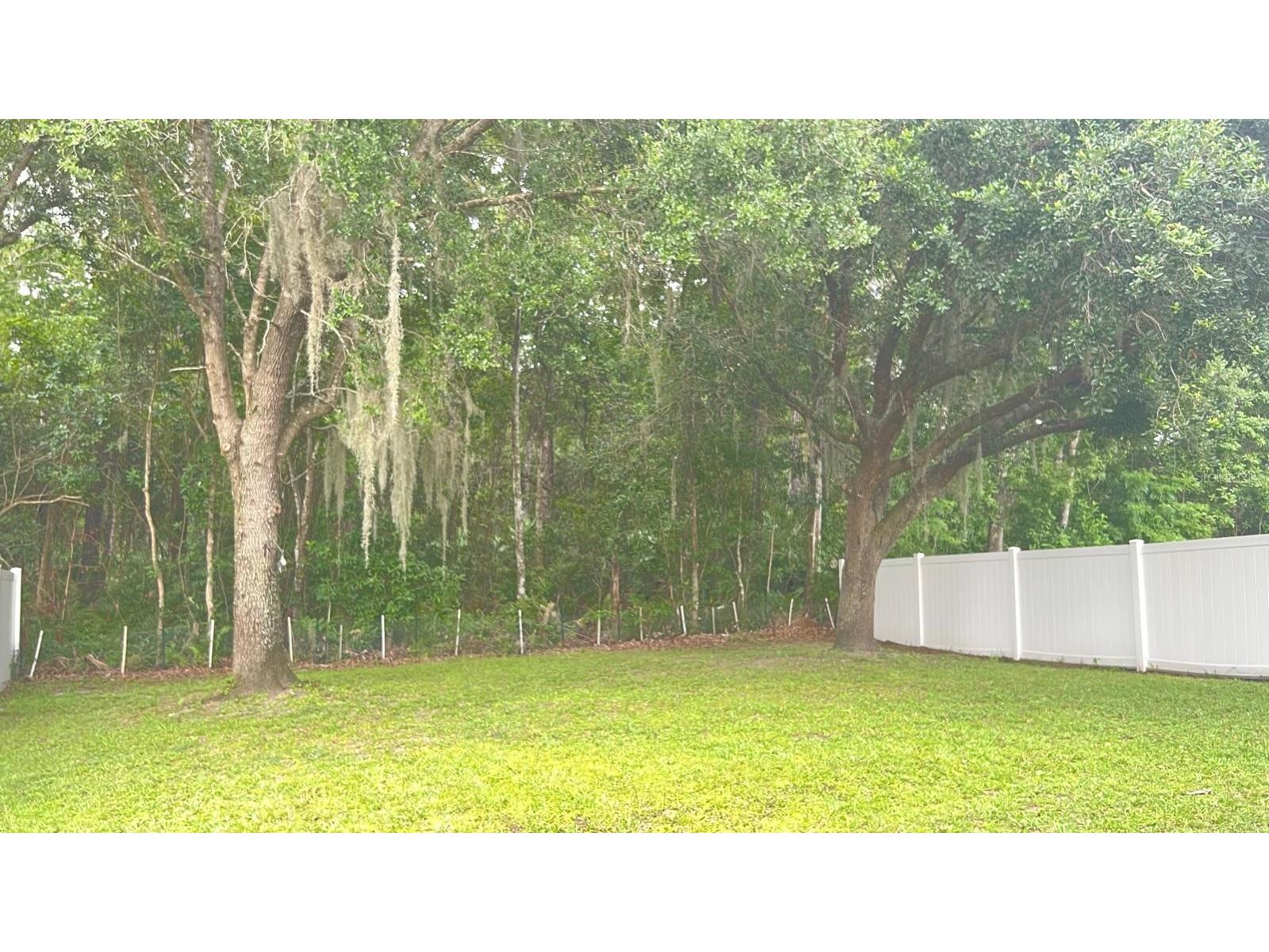 9925 Portofino Drive Orlando FL 32832 S5151008 image11