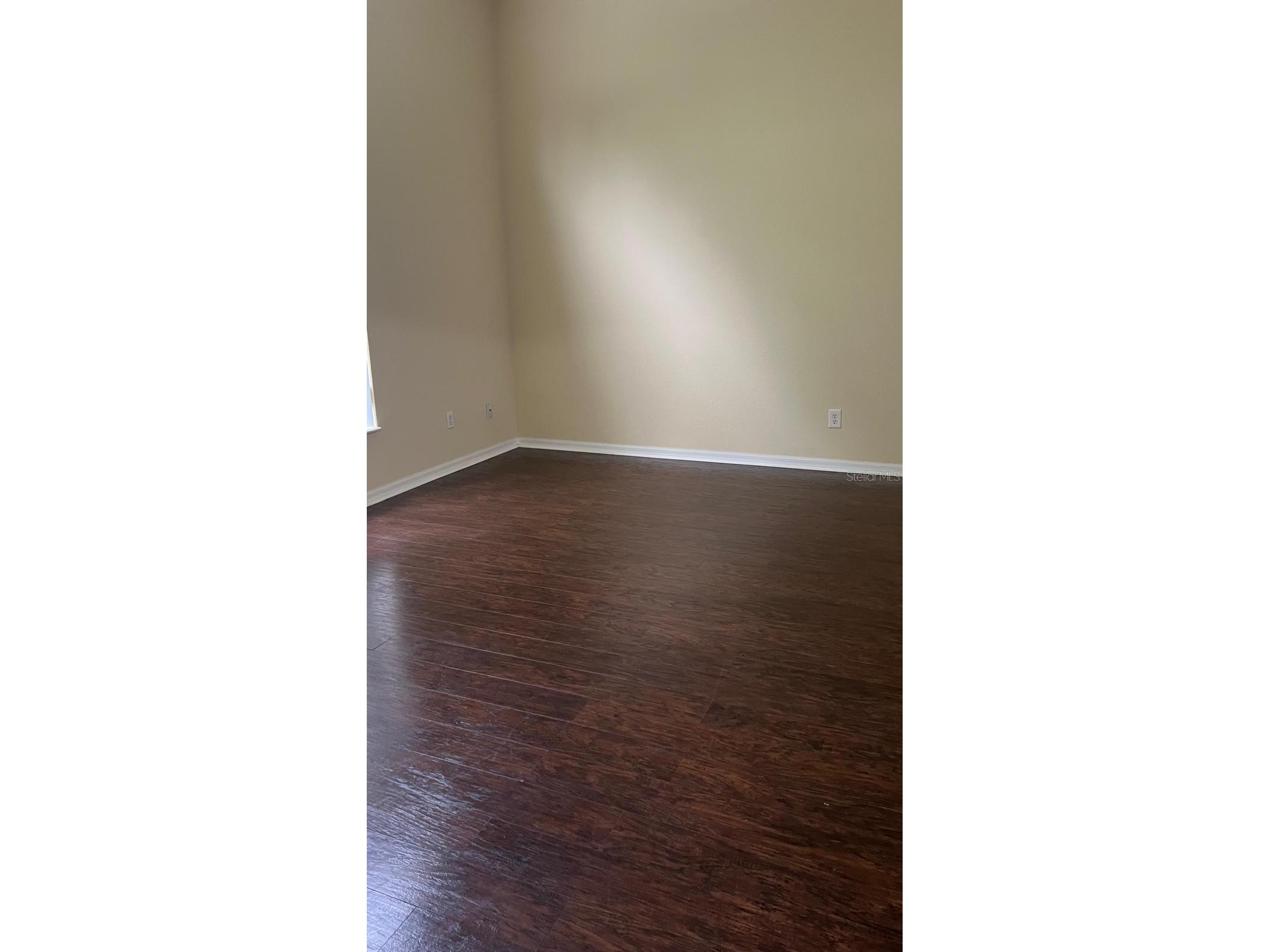 9925 Portofino Drive Orlando FL 32832 S5151008 image5