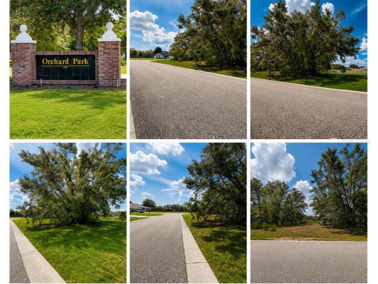 9925 Reindeer Court Spring Hill FL 34608 W7886059 image1