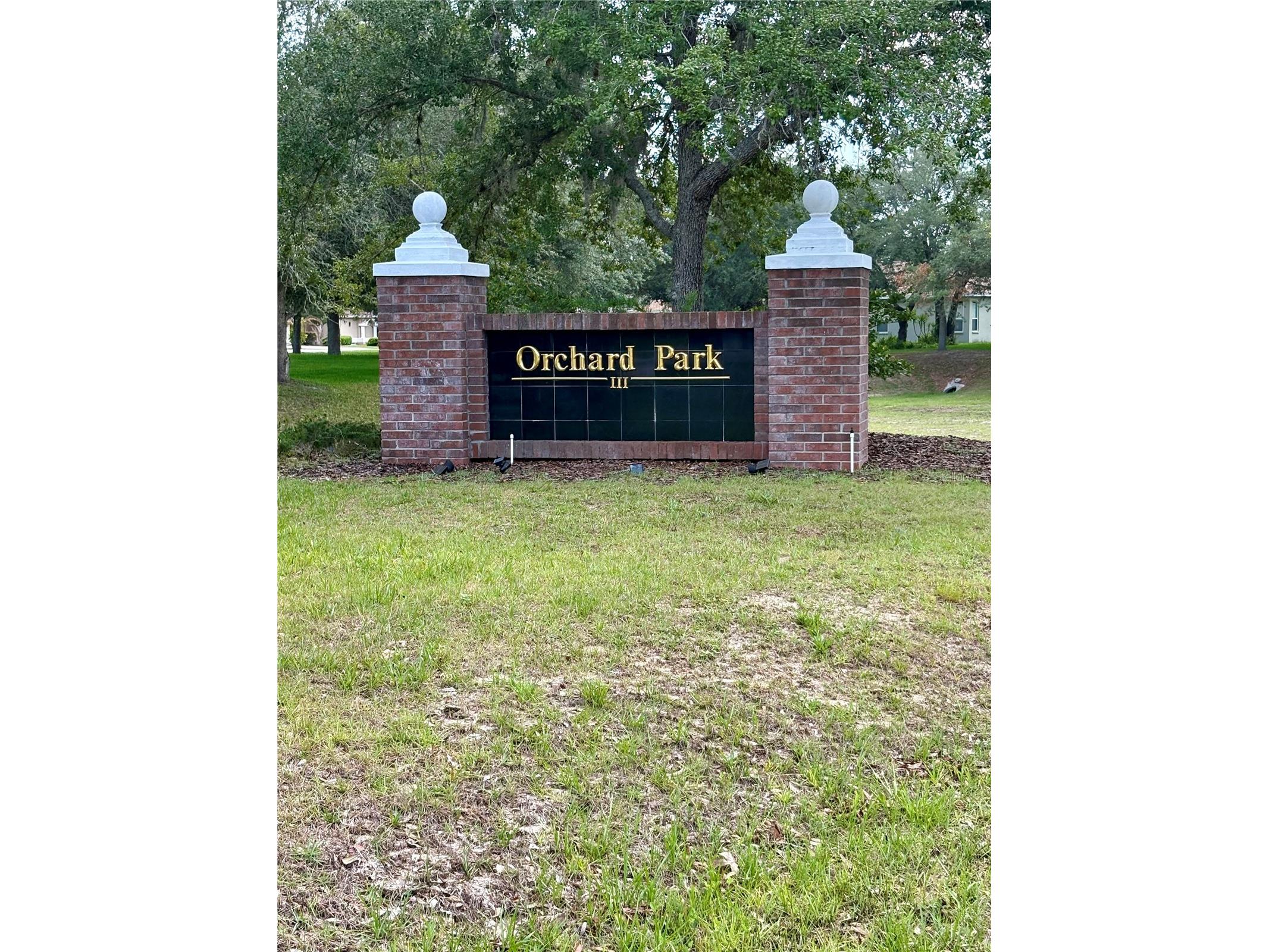 9925 Reindeer Court Spring Hill FL 34608 W7886059 image2