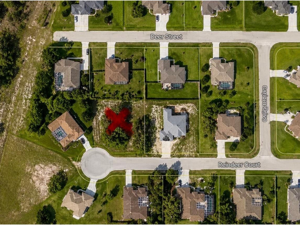 9925 Reindeer Court Spring Hill FL 34608 W7886059 image3