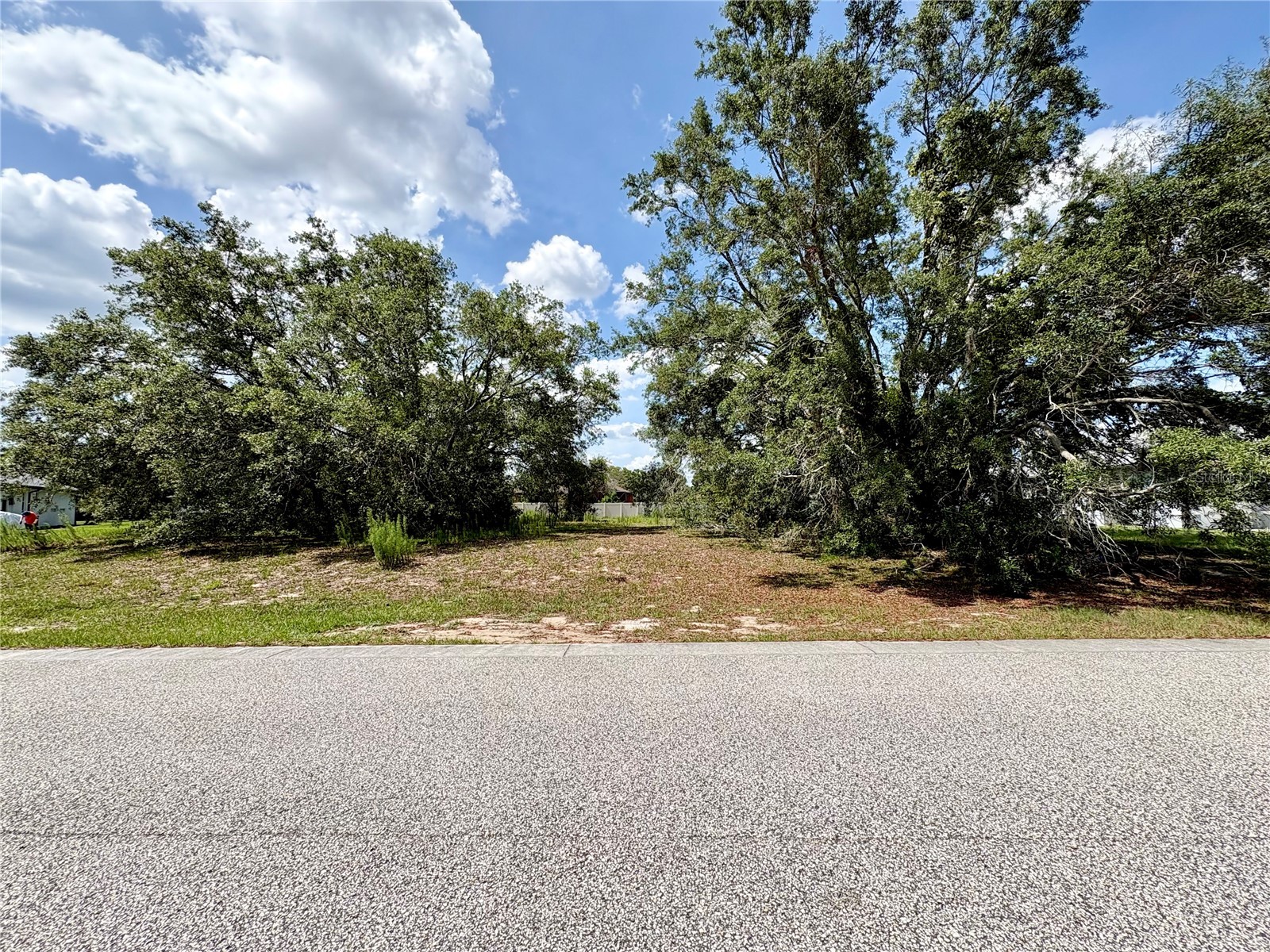 9925 Reindeer Court Spring Hill FL 34608 W7886059 image4