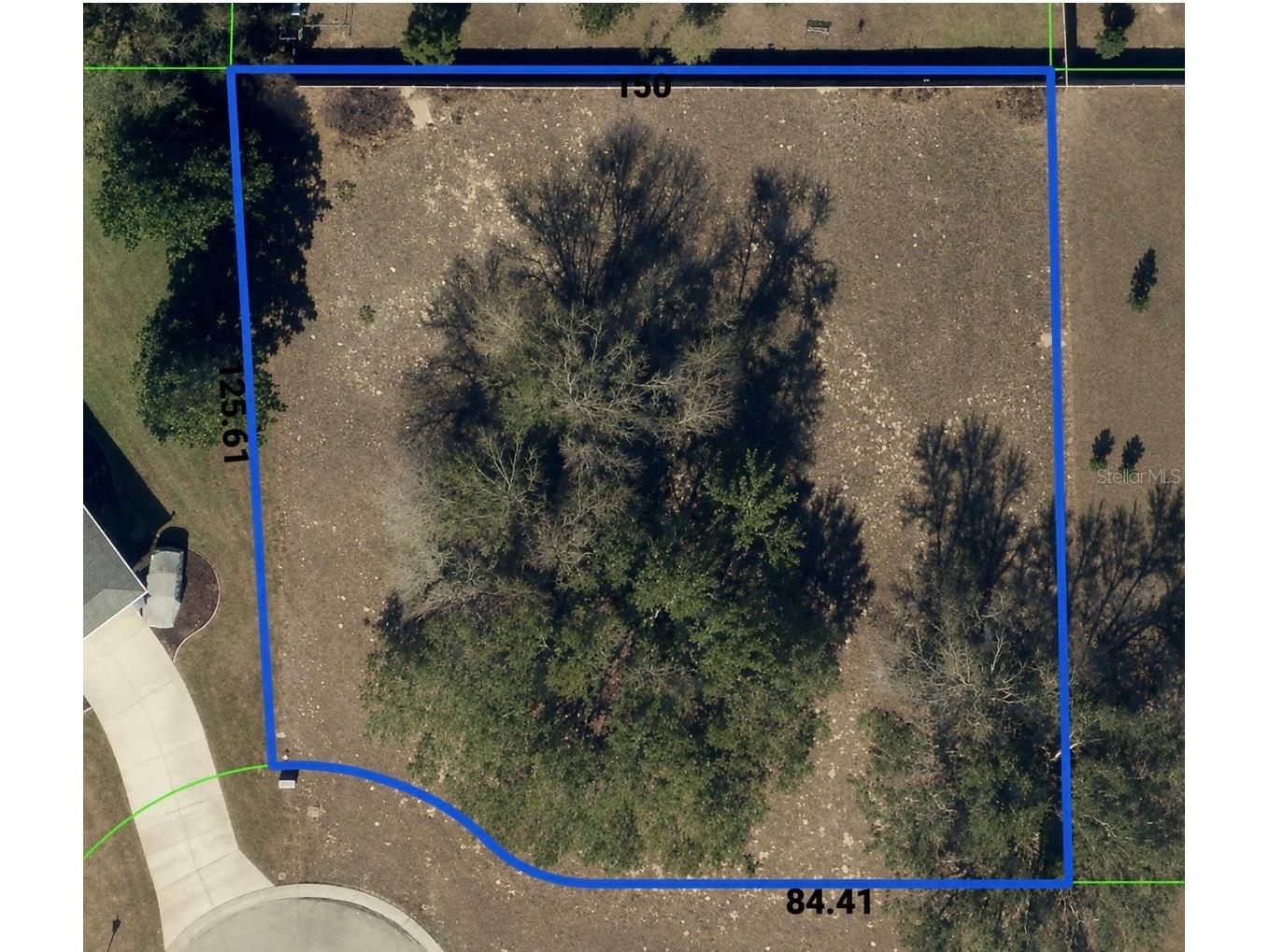 9925 Reindeer Court Spring Hill FL 34608 W7886059 image5