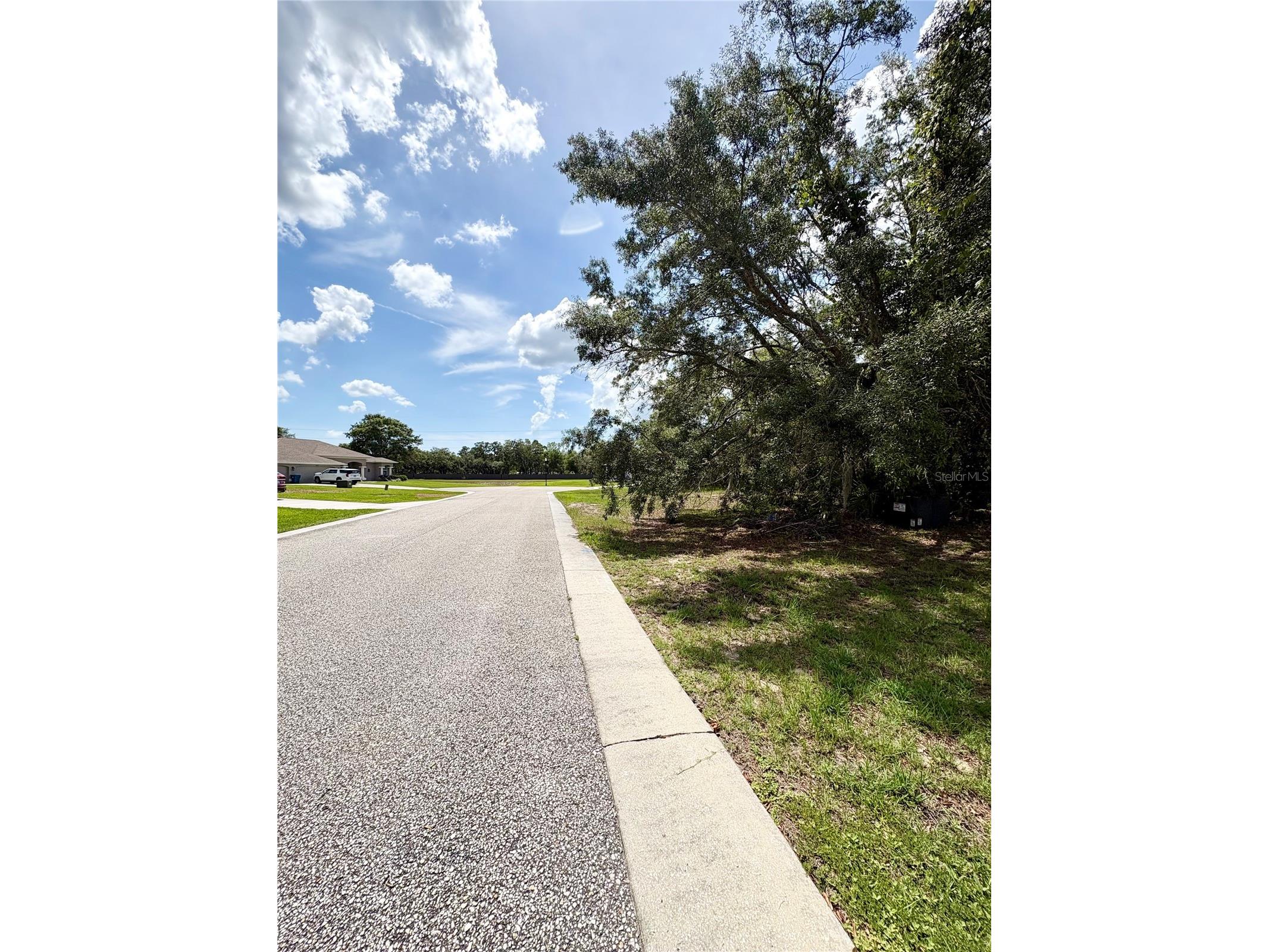 9925 Reindeer Court Spring Hill FL 34608 W7886059 image6