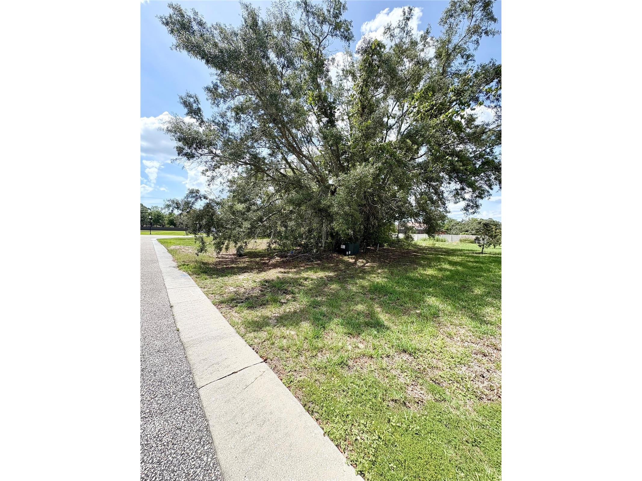 9925 Reindeer Court Spring Hill FL 34608 W7886059 image7