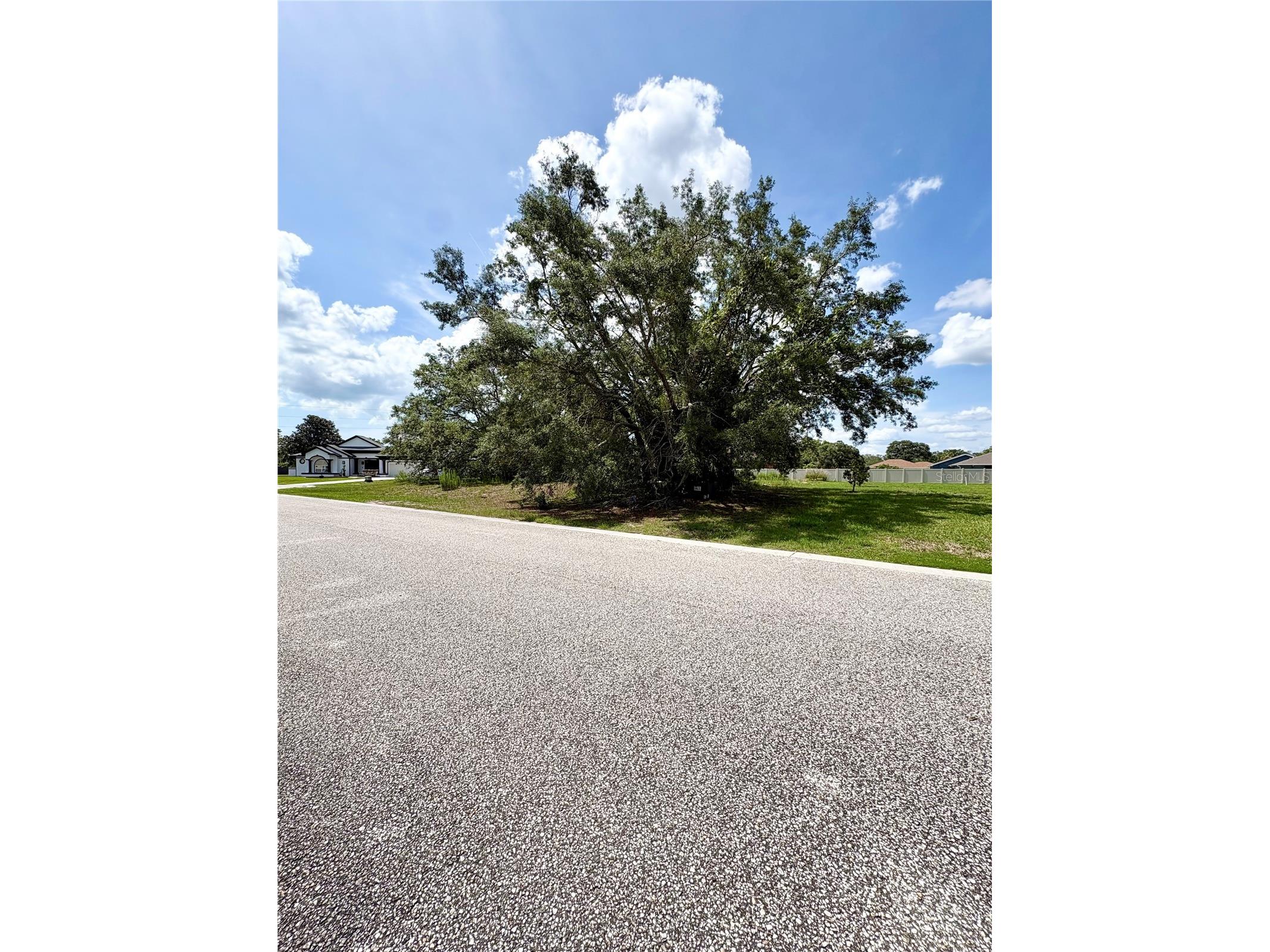 9925 Reindeer Court Spring Hill FL 34608 W7886059 image8