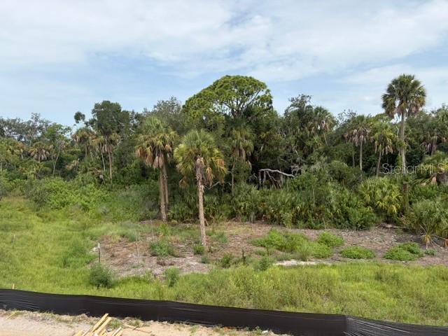 9927 Hidden Hammock Loop Parrish FL 34219 TB8528854 image25