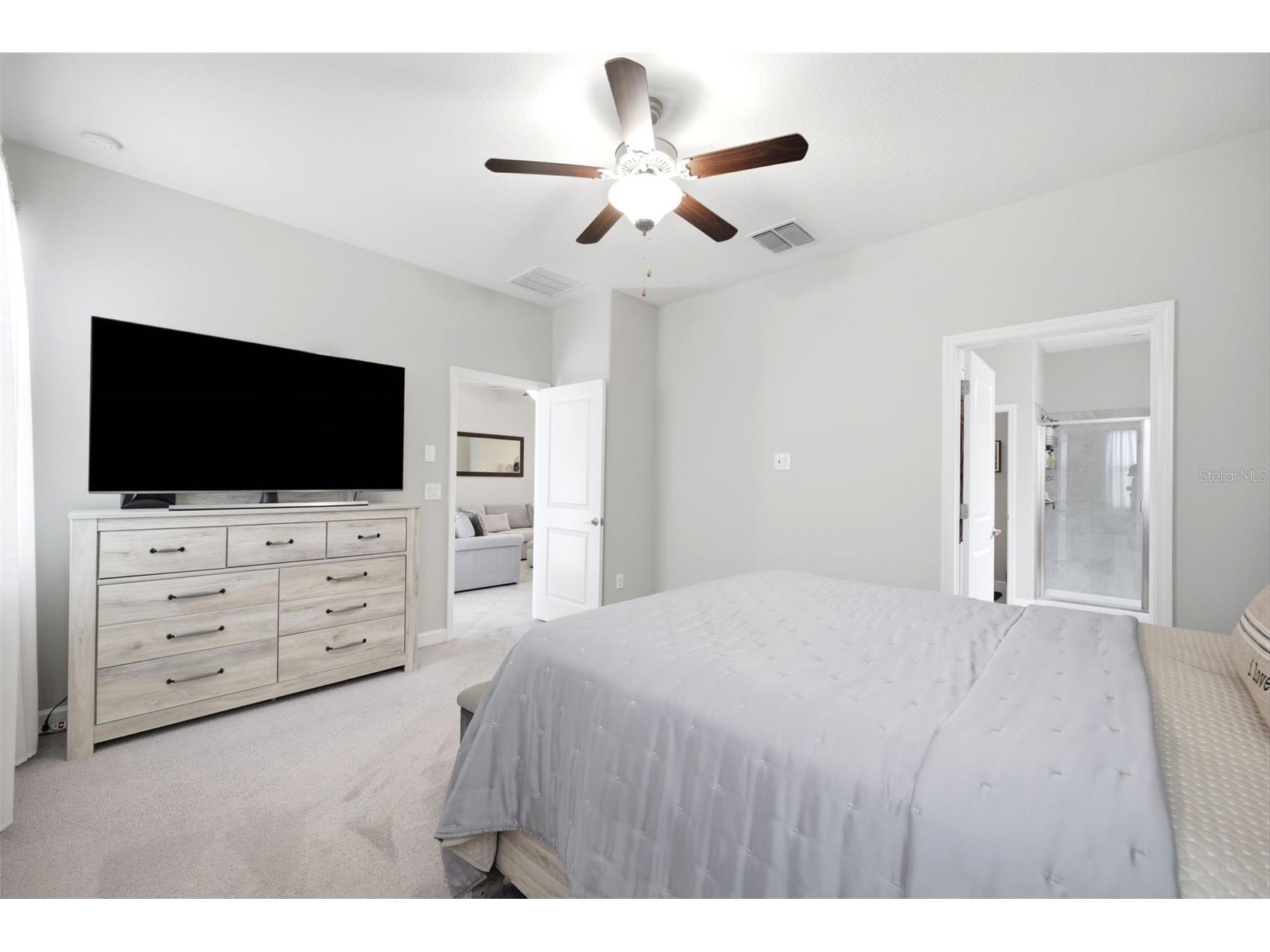 9927 Ivory Drive Ruskin FL 33573 TB8526003 image10