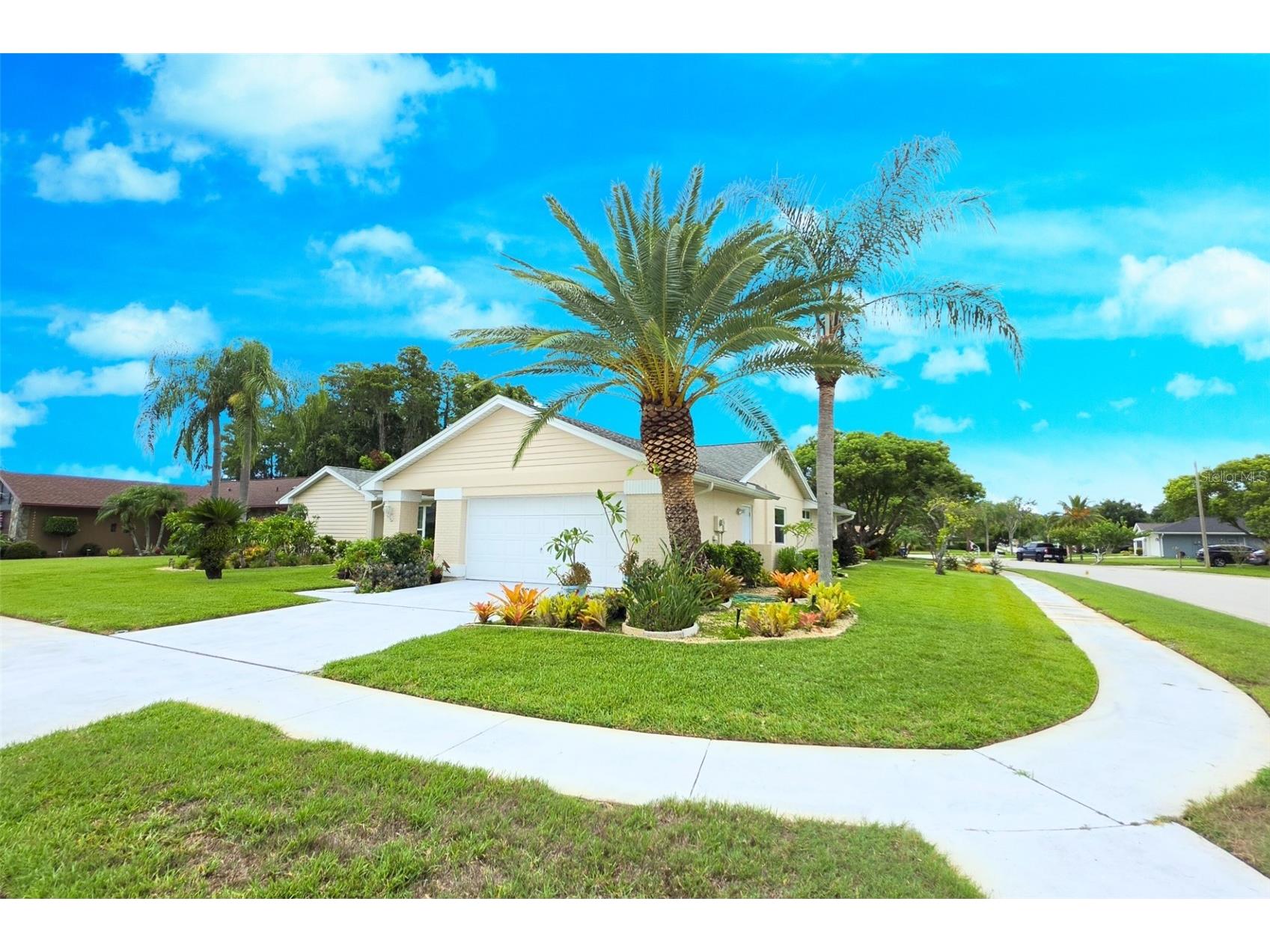 9927 Middlecoff Drive New Port Richey FL 34655 TB8527697 image1
