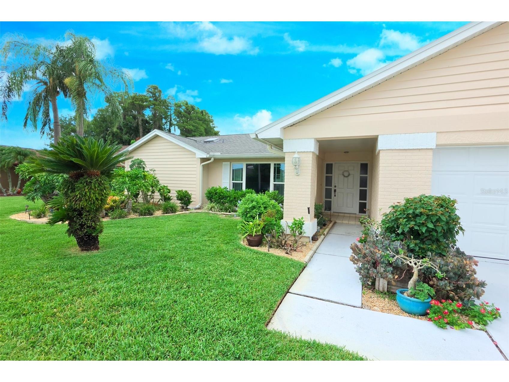 9927 Middlecoff Drive New Port Richey FL 34655 TB8527697 image4
