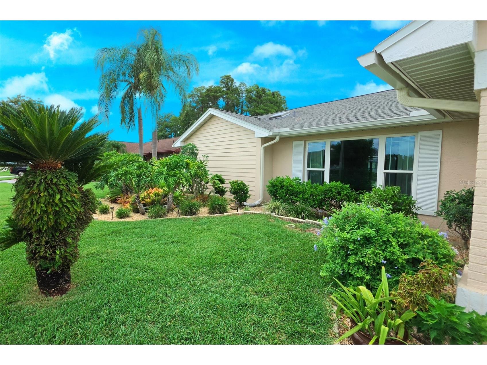 9927 Middlecoff Drive New Port Richey FL 34655 TB8527697 image49