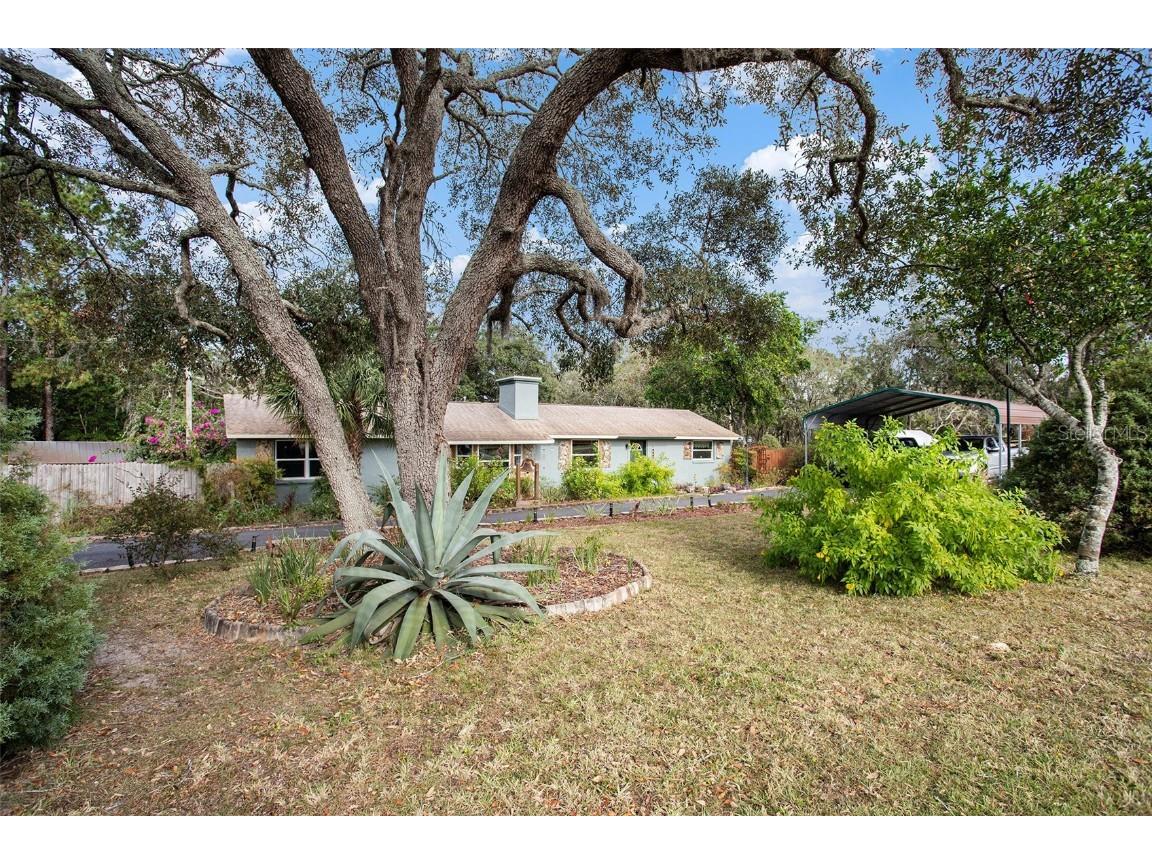 9927 Osceola Drive Weeki Wachee FL 34613 TB8316844 image1