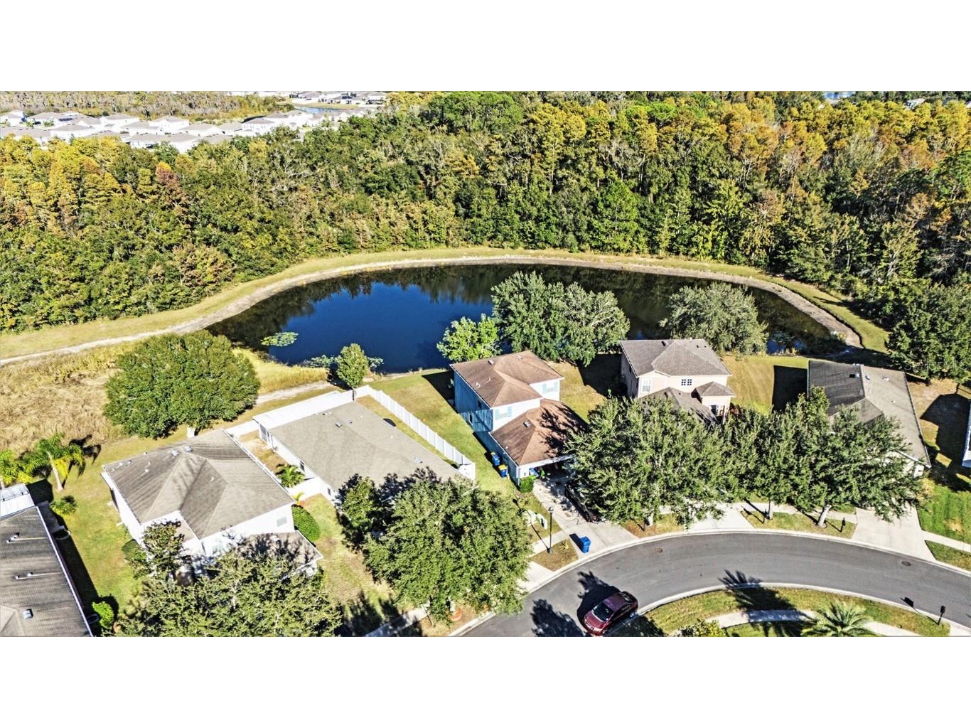 9928 Torrisdale Loop Land O Lakes FL 34638 TB8448024 image5