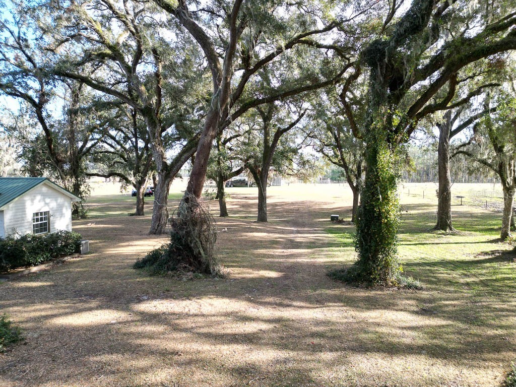 993 Cr 722 Webster FL 33597 G5093805 image45