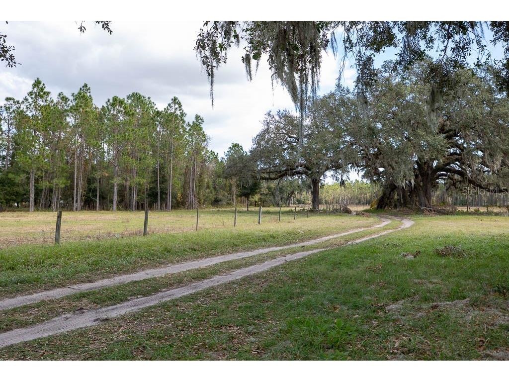 993 Cr 722 Webster FL 33597 G5093805 image46