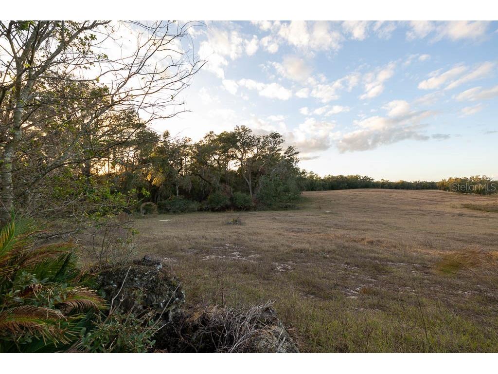 993 Cr 722 Webster FL 33597 G5093805 image59