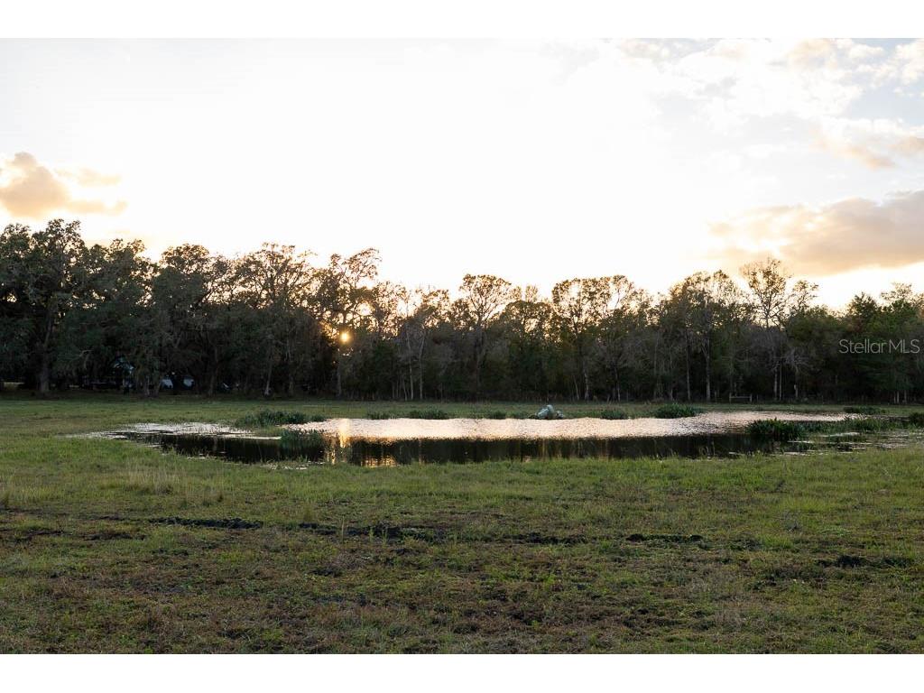 993 Cr 722 Webster FL 33597 G5093805 image61