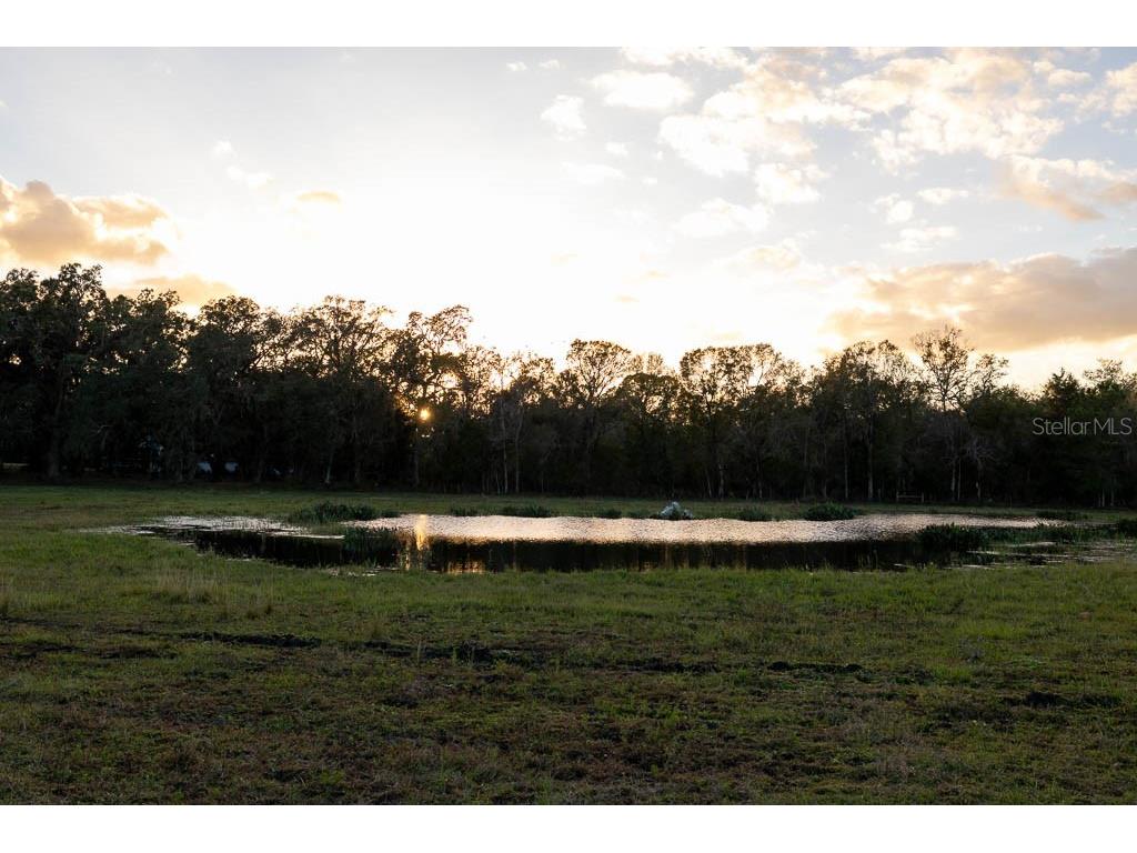 993 Cr 722 Webster FL 33597 G5093805 image62