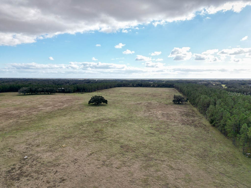 993 Cr 722 Webster FL 33597 G5093805 image70