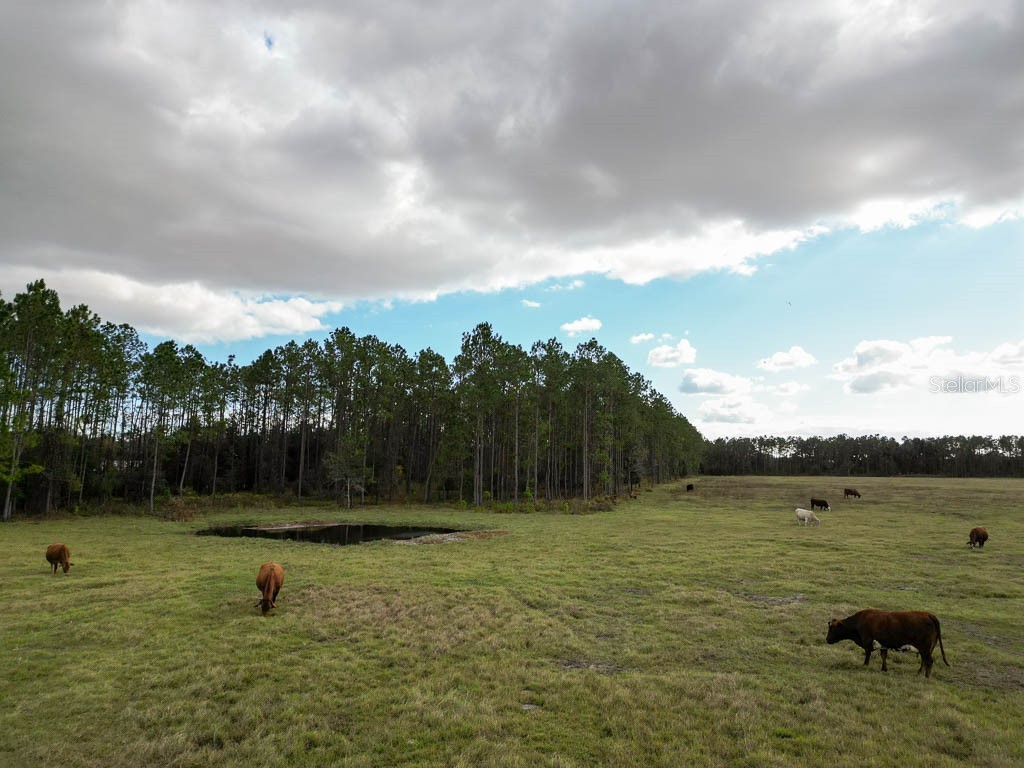 993 Cr 722 Webster FL 33597 G5093805 image73