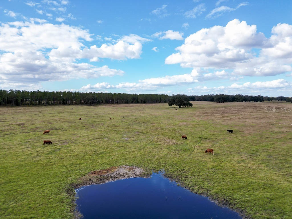 993 Cr 722 Webster FL 33597 G5093805 image75