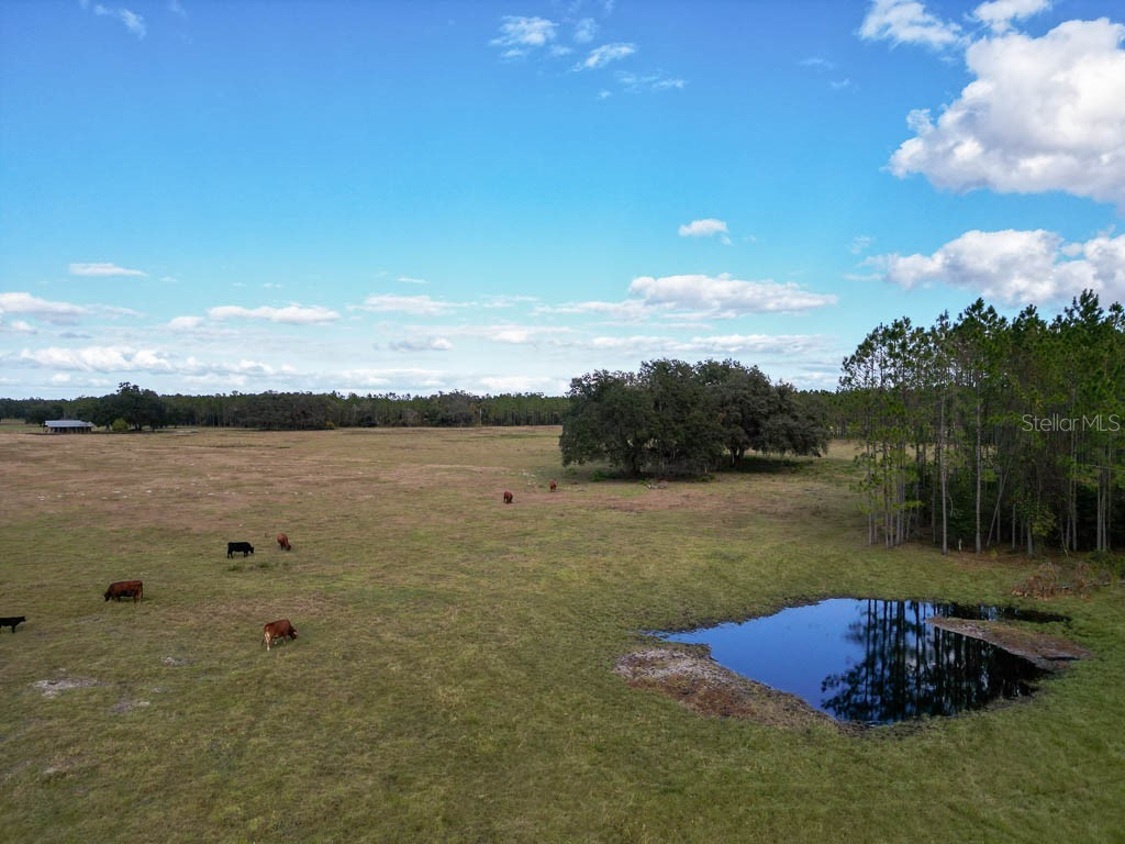 993 Cr 722 Webster FL 33597 G5093805 image76