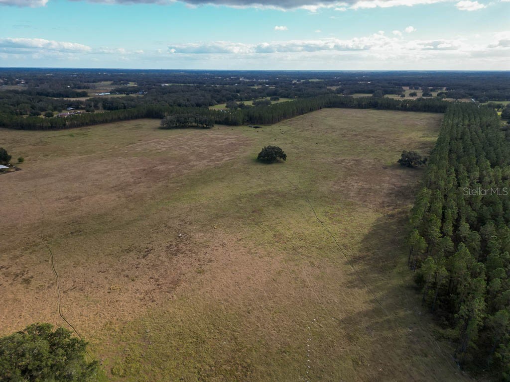 993 Cr 722 Webster FL 33597 G5093805 image83