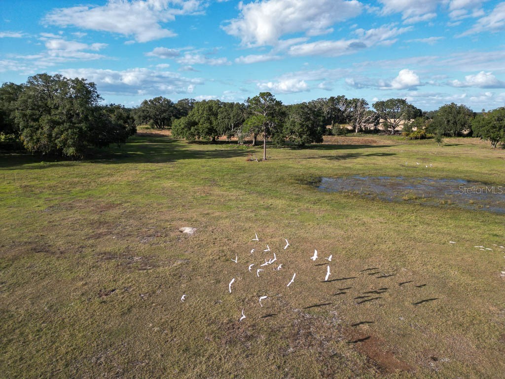 993 Cr 722 Webster FL 33597 G5093805 image92