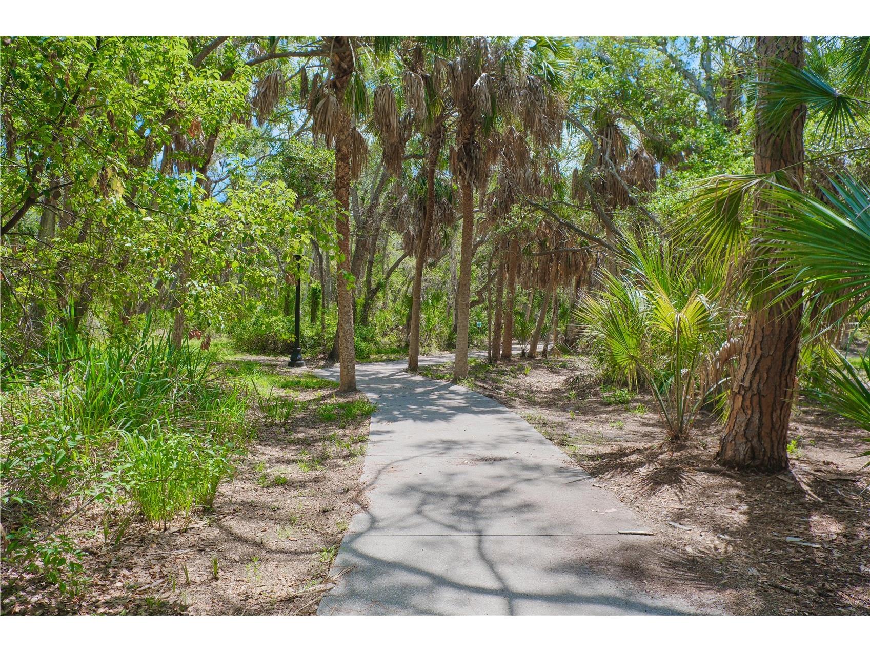 993 Gary Street #A & B Sarasota FL 34234 A4694443 image60