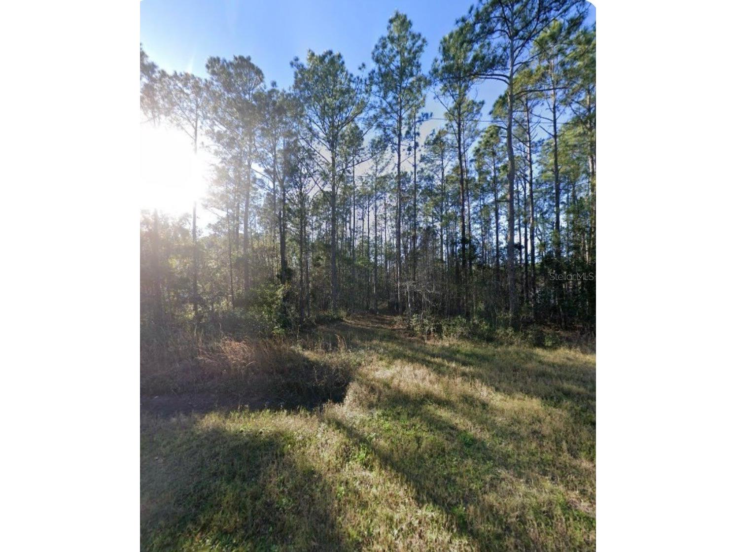 9930 Crotty Avenue Hastings FL 32145 O6417625 image1